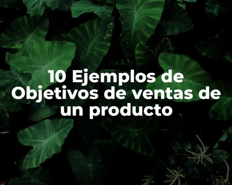 10 Ejemplos de Objetivos de ventas de un producto