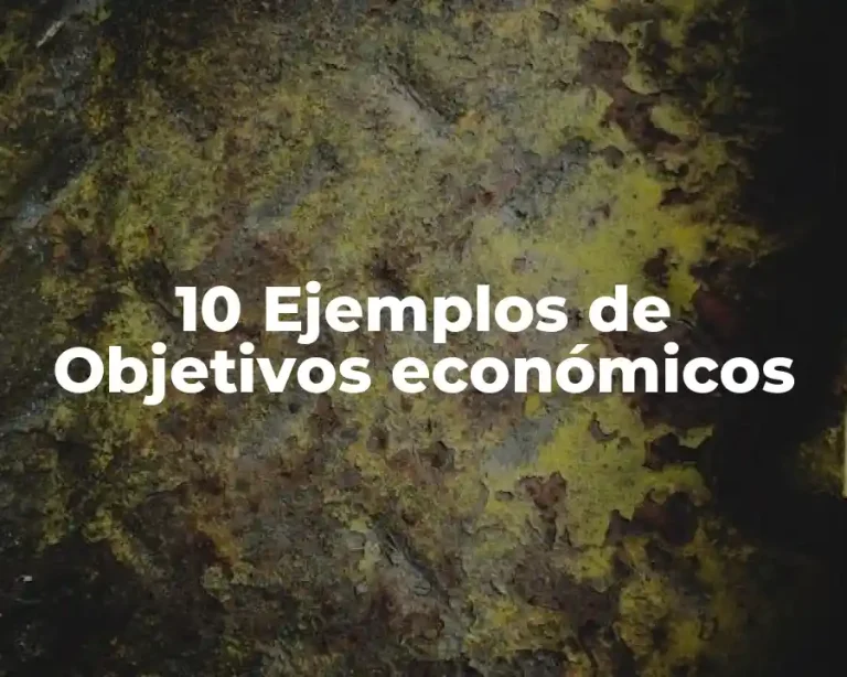 10 Ejemplos de Objetivos económicos