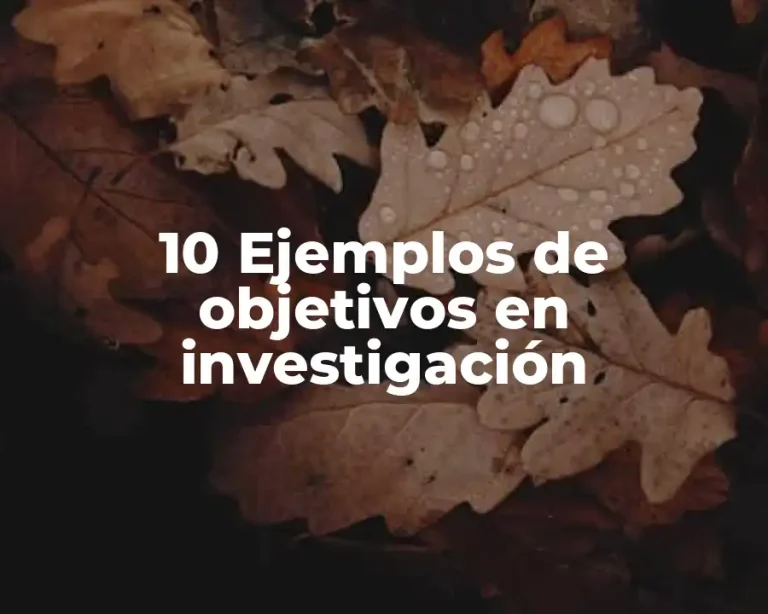 10 Ejemplos de objetivos en investigación