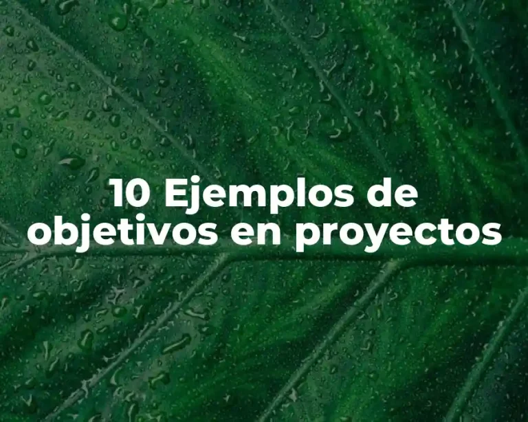 10 Ejemplos de objetivos en proyectos