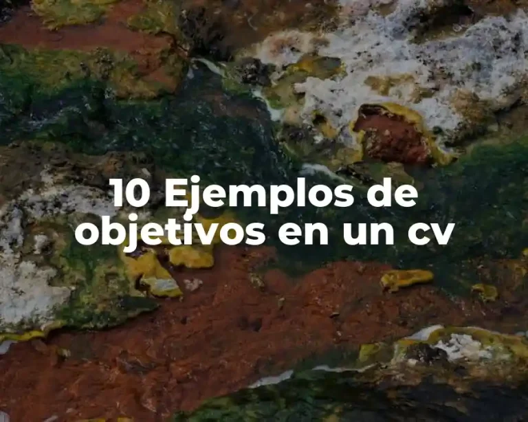 10 Ejemplos de objetivos en un cv