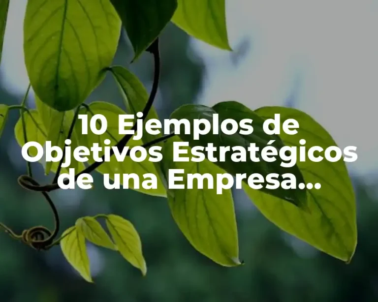 10 Ejemplos de Objetivos Estratégicos de una Empresa Comercial