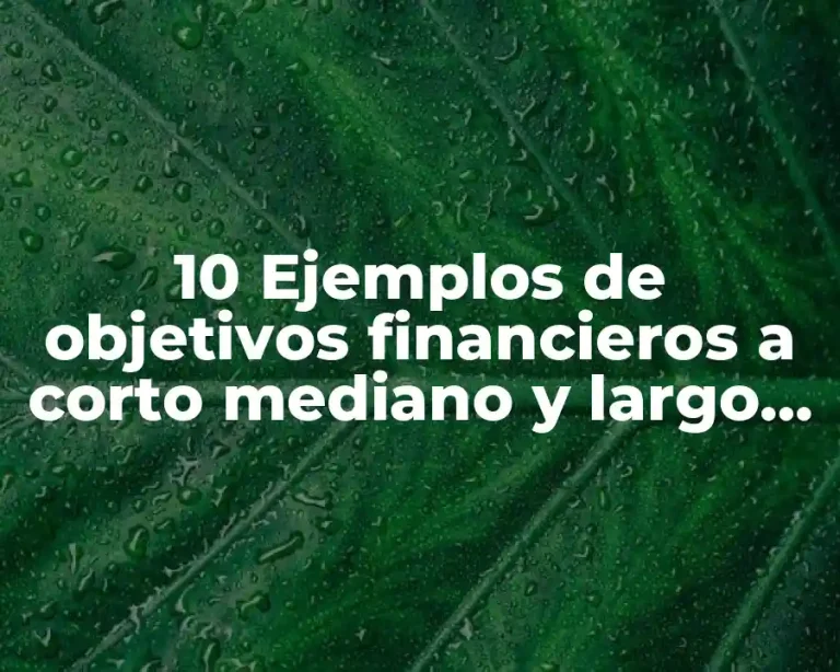 10 Ejemplos de objetivos financieros a corto mediano y largo plazo