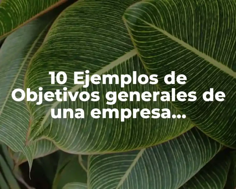 10 Ejemplos de Objetivos generales de una empresa agropecuaria