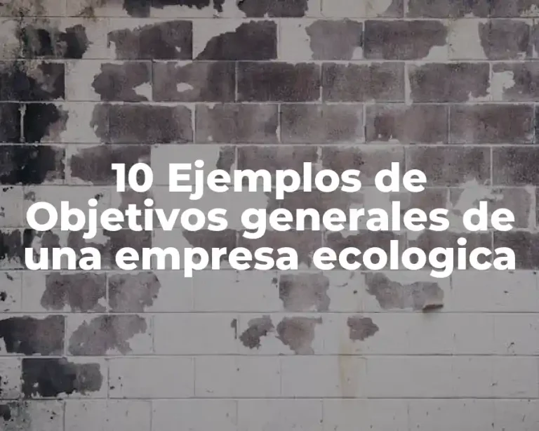 10 Ejemplos de Objetivos generales de una empresa ecologica