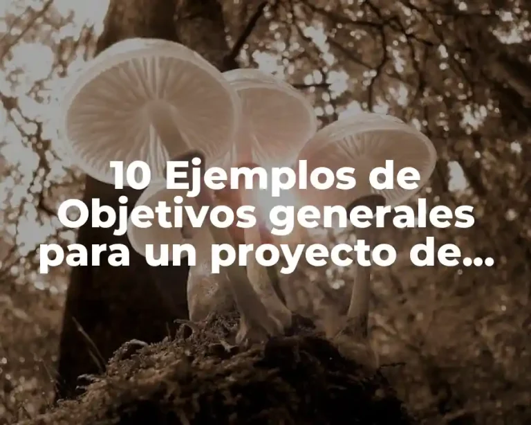 10 Ejemplos de Objetivos generales para un proyecto de mercados