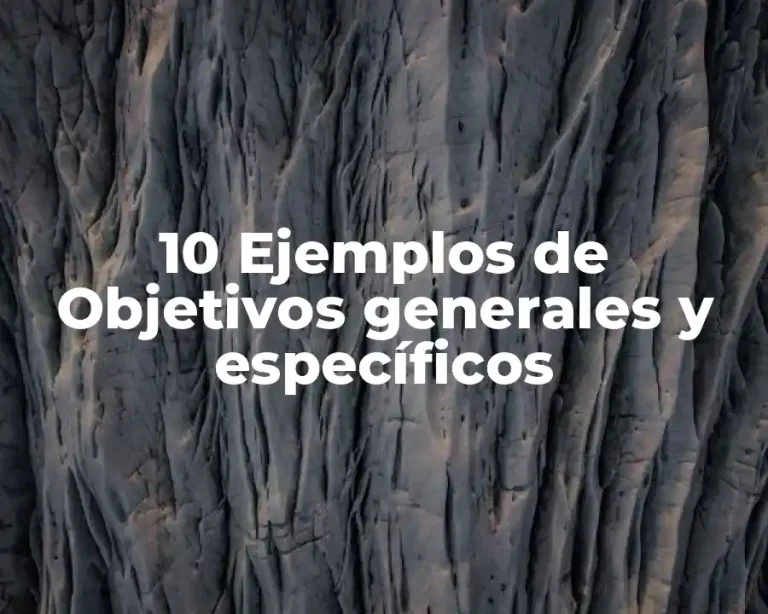 10 Ejemplos de Objetivos generales y específicos