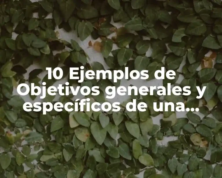 10 Ejemplos de Objetivos generales y específicos de una empresa constructora