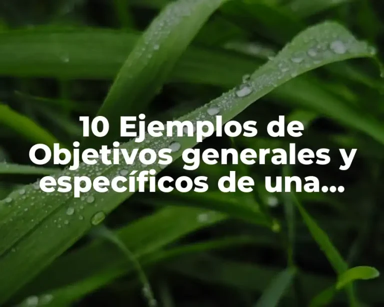 10 Ejemplos de Objetivos generales y específicos de una investigación científica