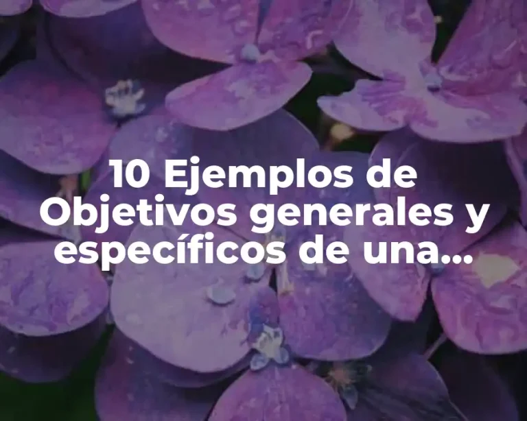 10 Ejemplos de Objetivos generales y específicos de una investigación PPT