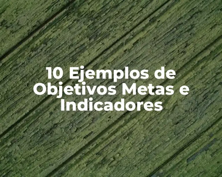 10 Ejemplos de Objetivos Metas e Indicadores