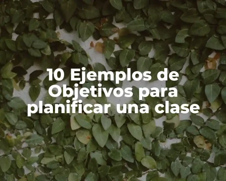 10 Ejemplos de Objetivos para planificar una clase