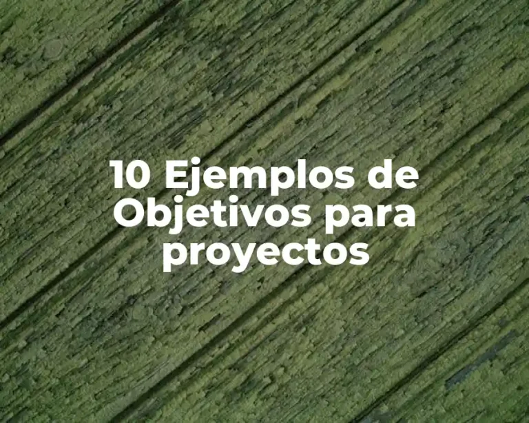 10 Ejemplos de Objetivos para proyectos