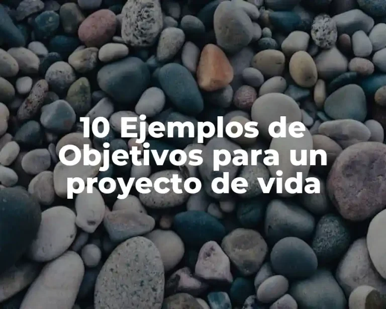 10 Ejemplos de Objetivos para un proyecto de vida
