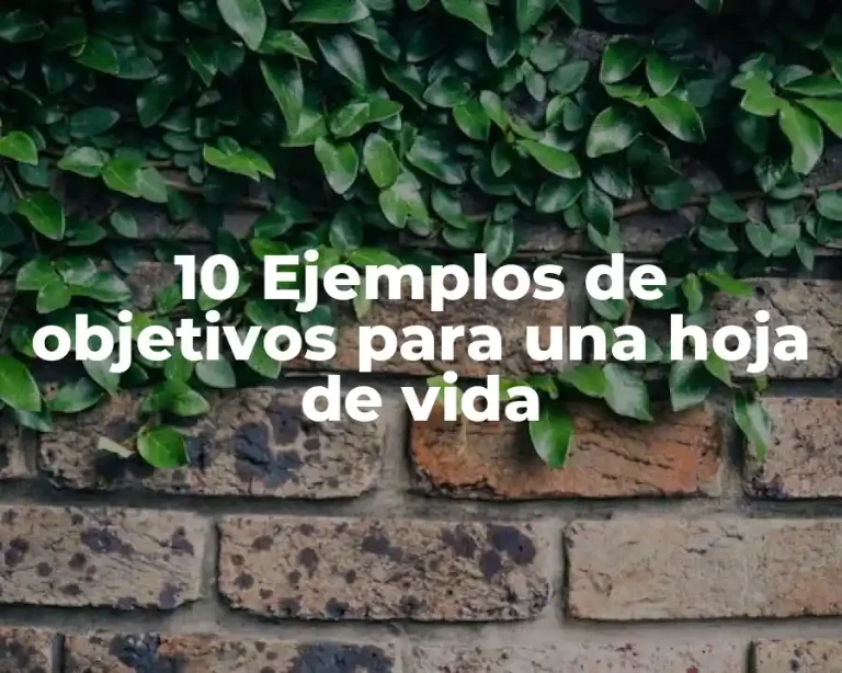 10 Ejemplos de objetivos para una hoja de vida