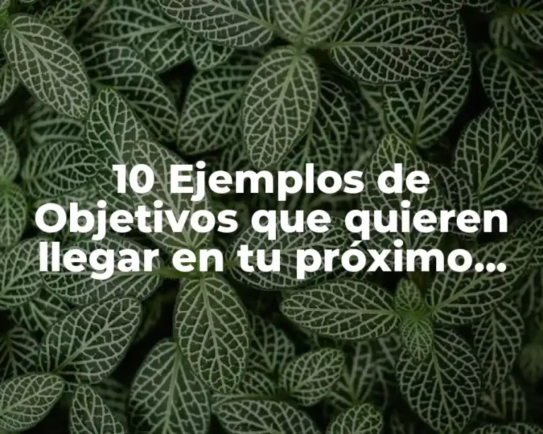 10 Ejemplos de Objetivos que quieren llegar en tu próximo trabajo