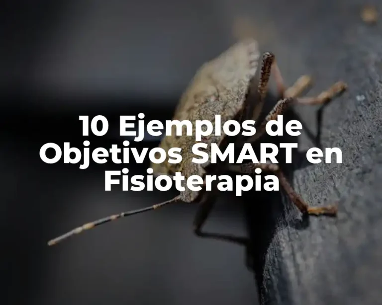 10 Ejemplos de Objetivos SMART en Fisioterapia