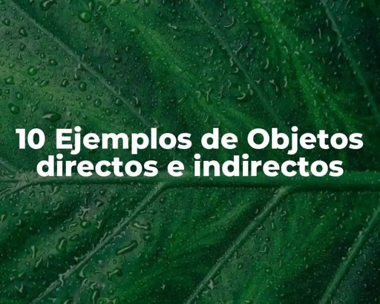 10 Ejemplos de Objetos directos e indirectos