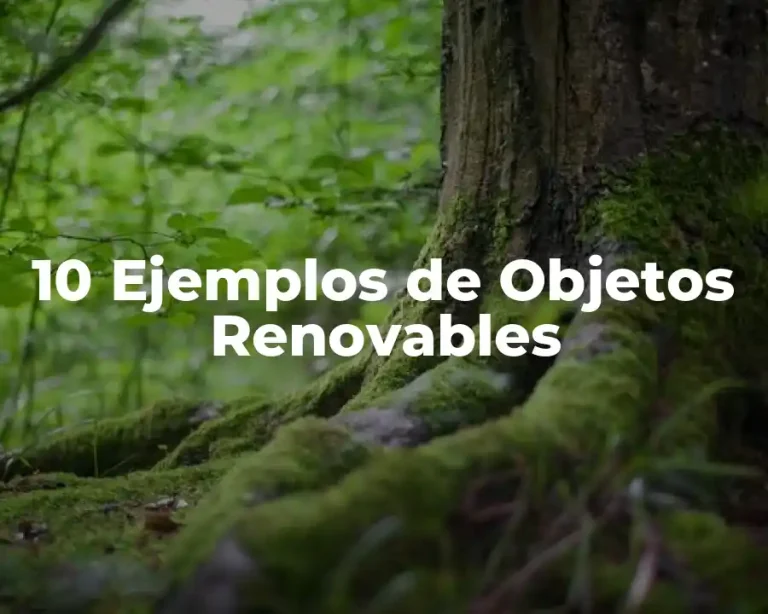 10 Ejemplos de Objetos Renovables