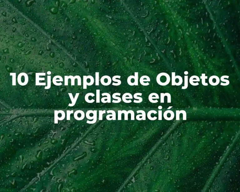 10 Ejemplos de Objetos y clases en programación