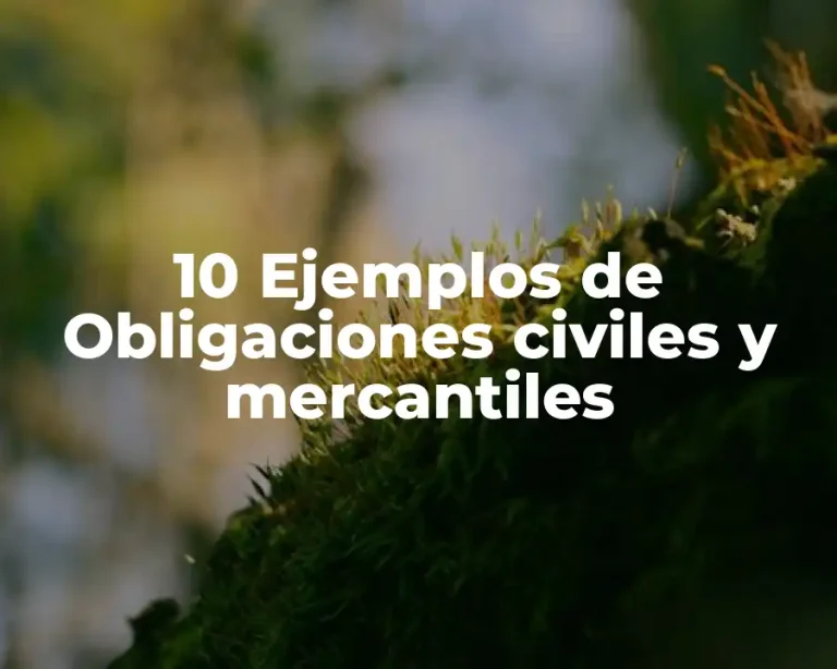 10 Ejemplos de Obligaciones civiles y mercantiles