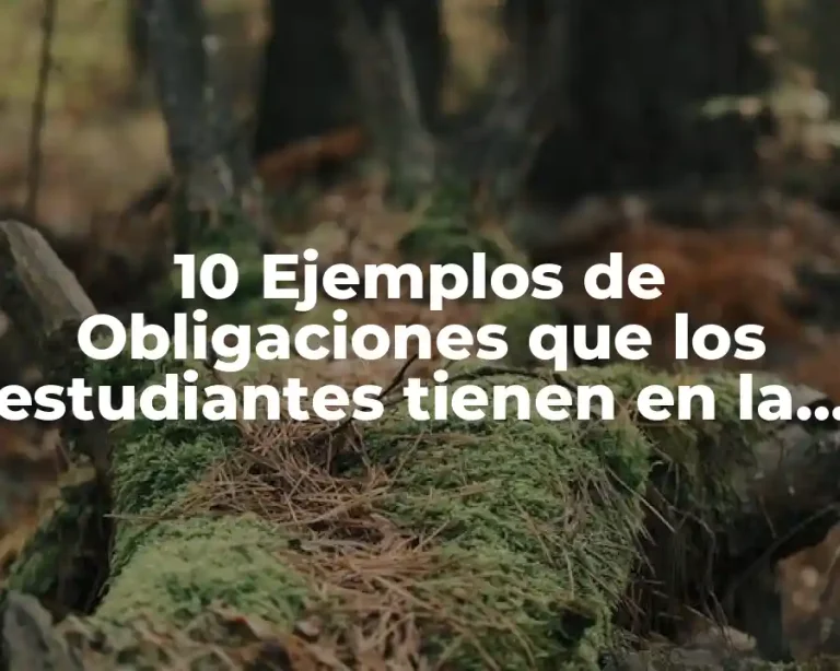 10 Ejemplos de Obligaciones que los estudiantes tienen en la escuela
