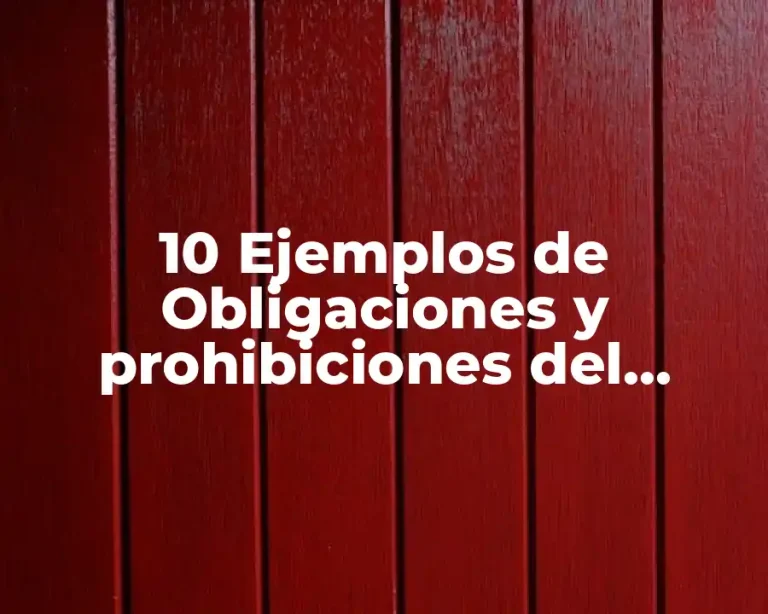10 Ejemplos de Obligaciones y prohibiciones del trabajador