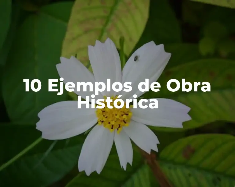 10 Ejemplos de Obra Histórica