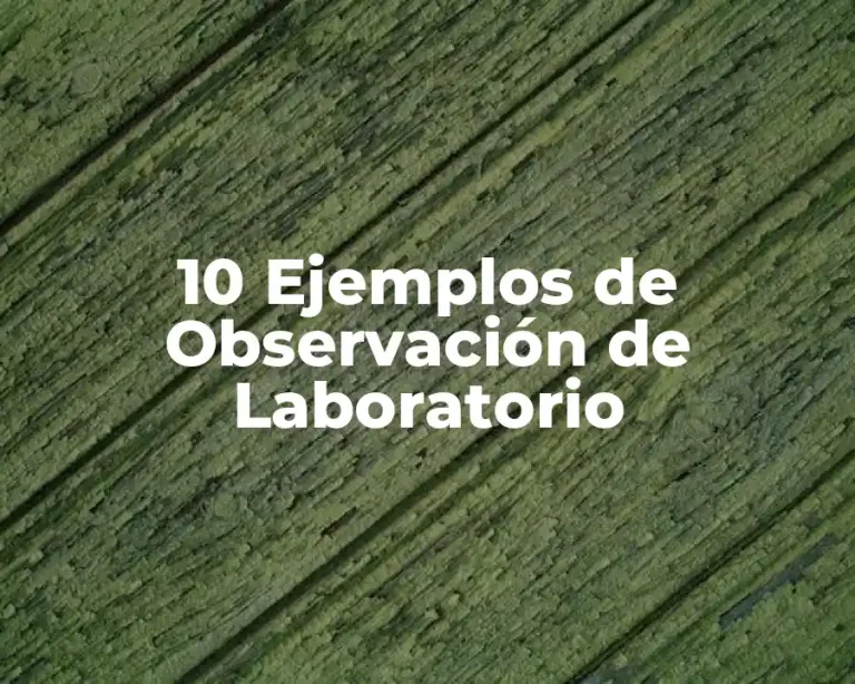 10 Ejemplos de Observación de Laboratorio