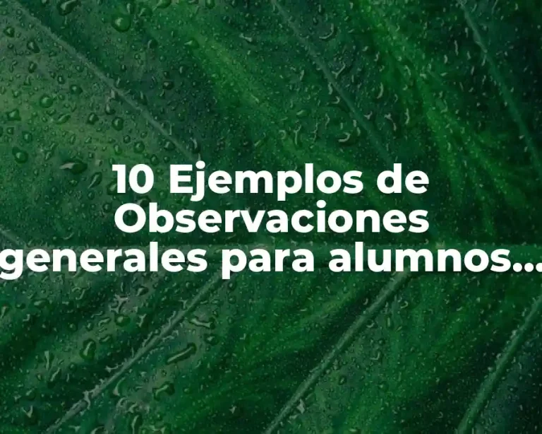 10 Ejemplos de Observaciones generales para alumnos de primaria