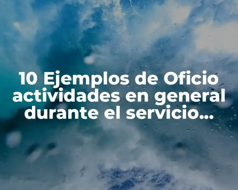 10 Ejemplos de Oficio actividades en general durante el servicio social