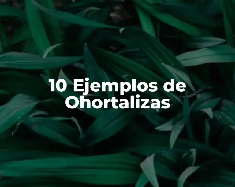 10 Ejemplos de Ohortalizas