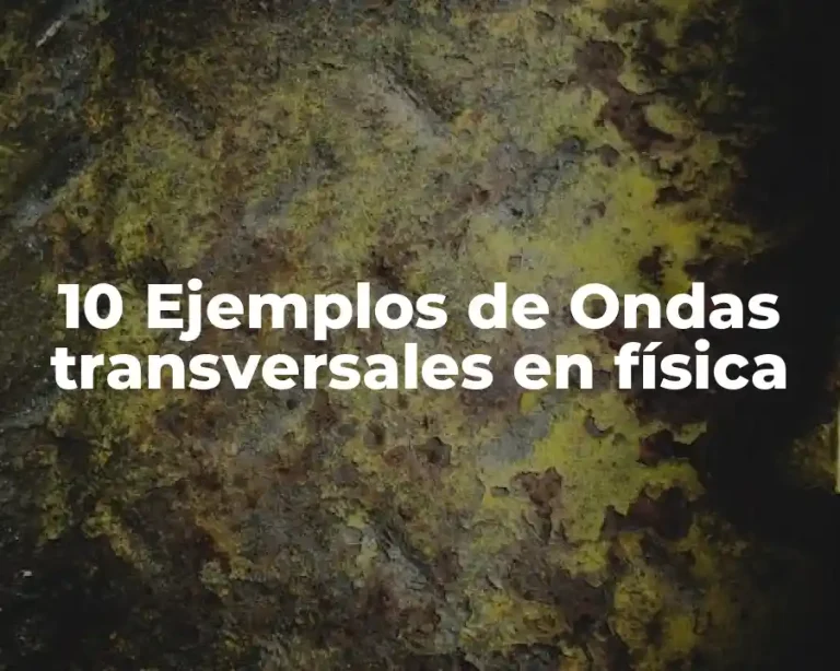10 Ejemplos de Ondas transversales en física