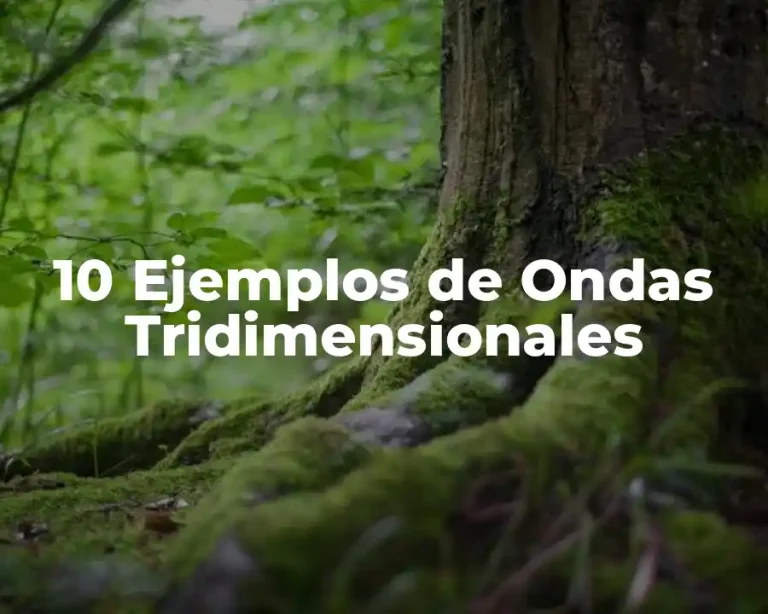 10 Ejemplos de Ondas Tridimensionales