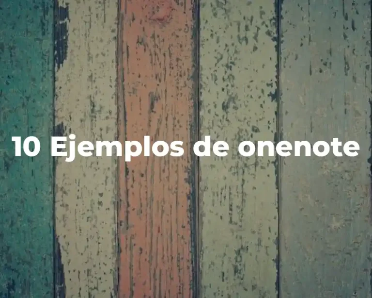 10 Ejemplos de onenote