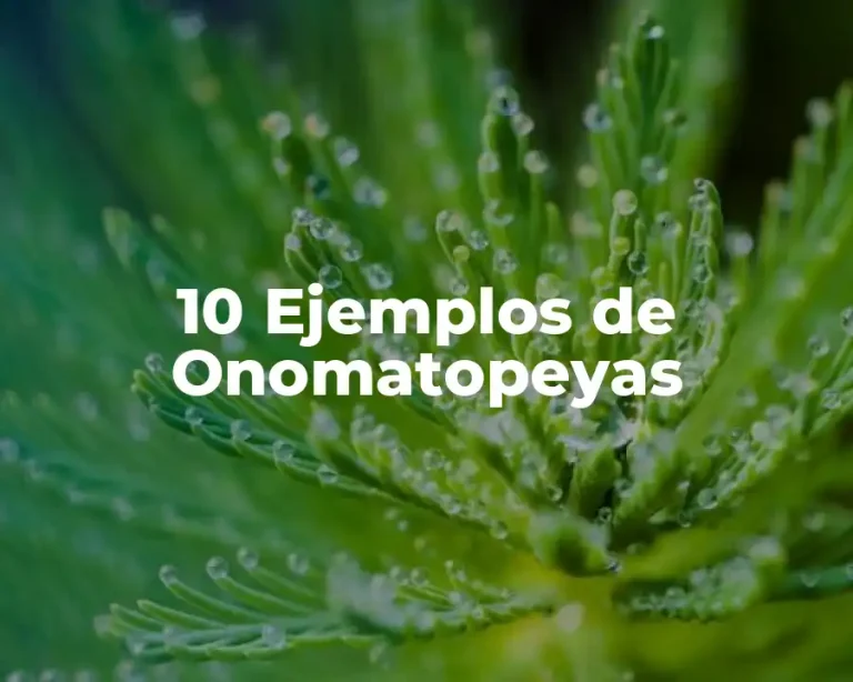 10 Ejemplos de Onomatopeyas