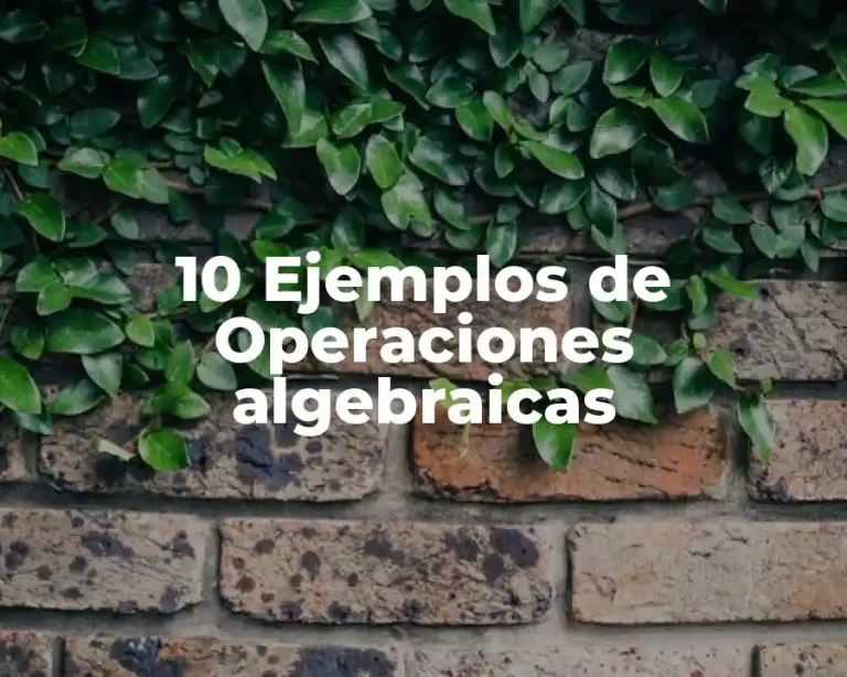 10 Ejemplos de Operaciones algebraicas