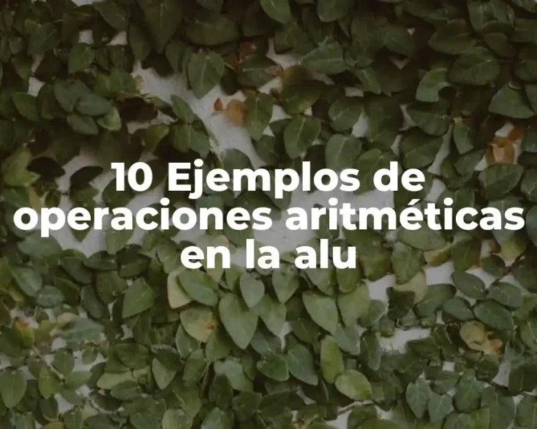 10 Ejemplos de operaciones aritméticas en la alu