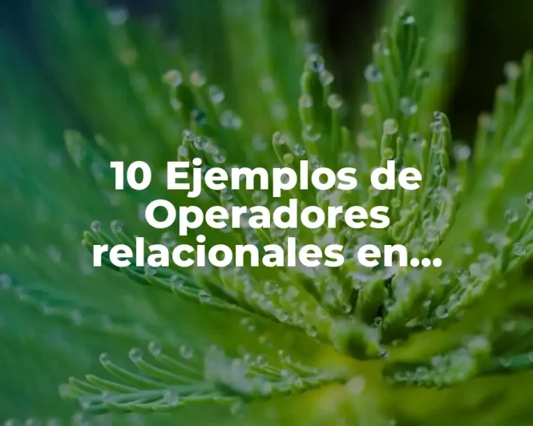 10 Ejemplos de Operadores relacionales en programación