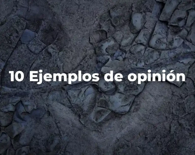 10 Ejemplos de opinión