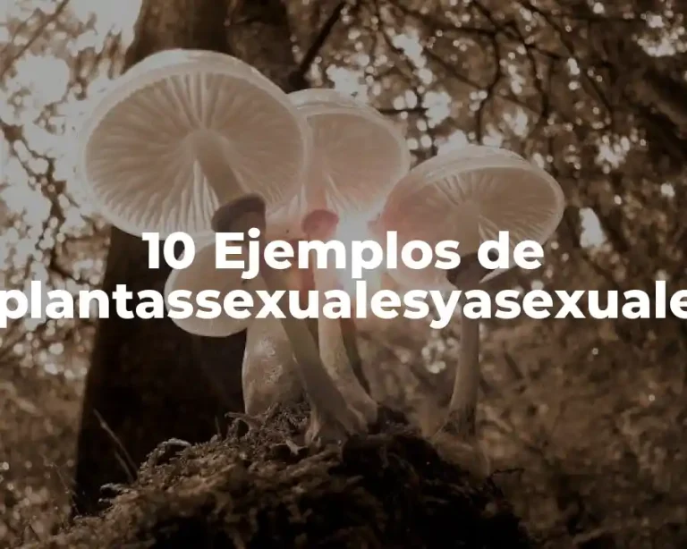 10 Ejemplos de oplantassexualesyasexuales