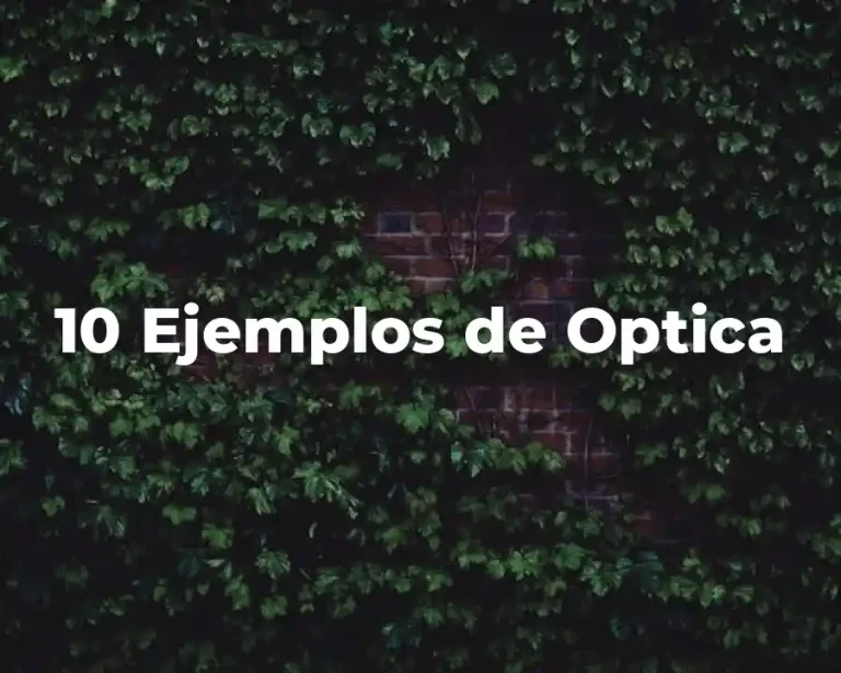 10 Ejemplos de Optica