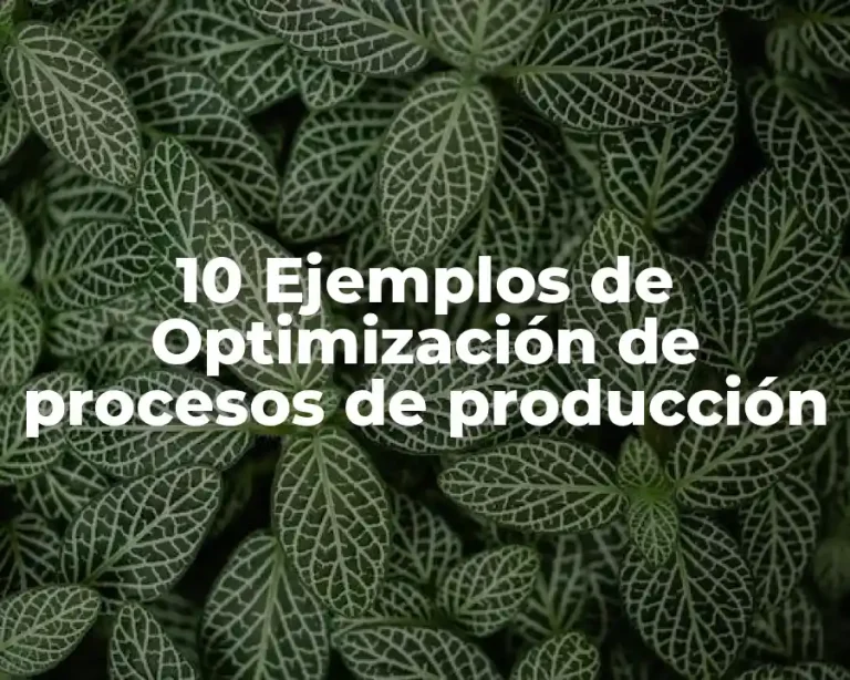 10 Ejemplos de Optimización de procesos de producción