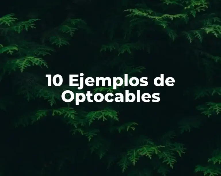 10 Ejemplos de Optocables