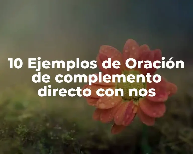 10 Ejemplos de Oración de complemento directo con nos