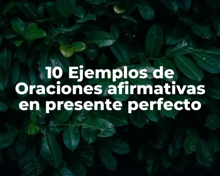 10 Ejemplos de Oraciones afirmativas en presente perfecto