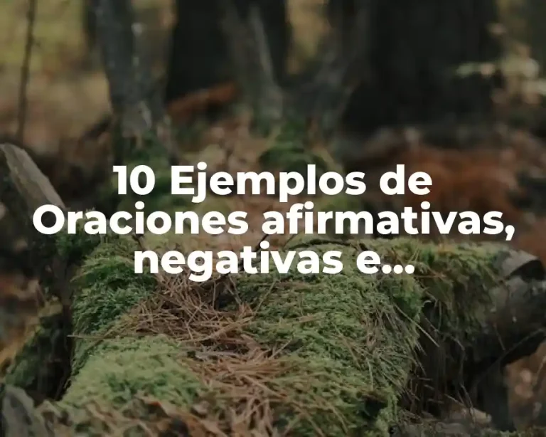 10 Ejemplos de Oraciones afirmativas, negativas e interrogativas en inglés