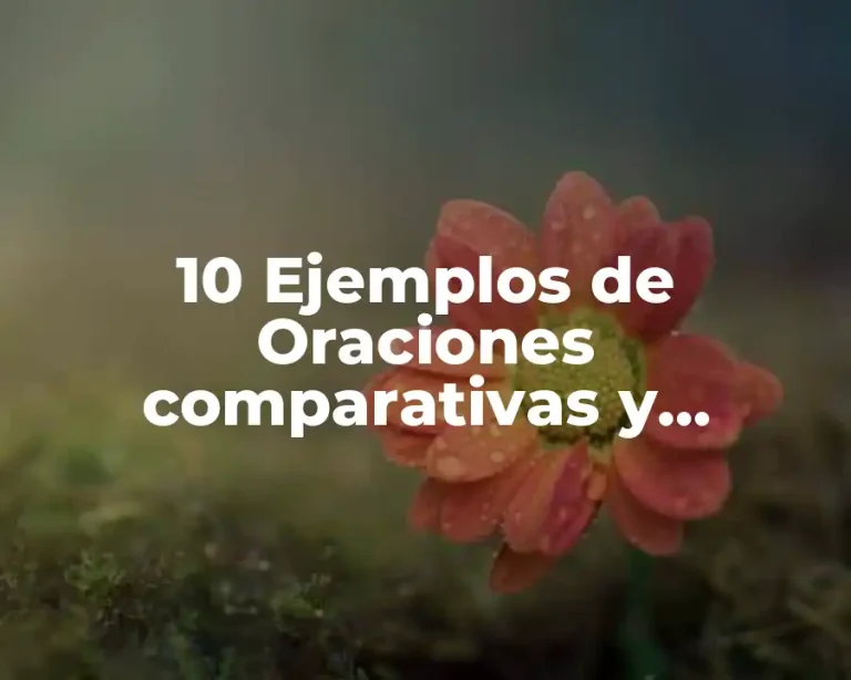 10 Ejemplos de Oraciones comparativas y superlativas en inglés