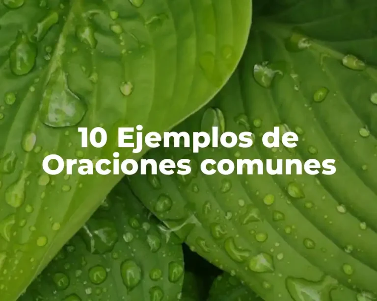 10 Ejemplos de Oraciones comunes