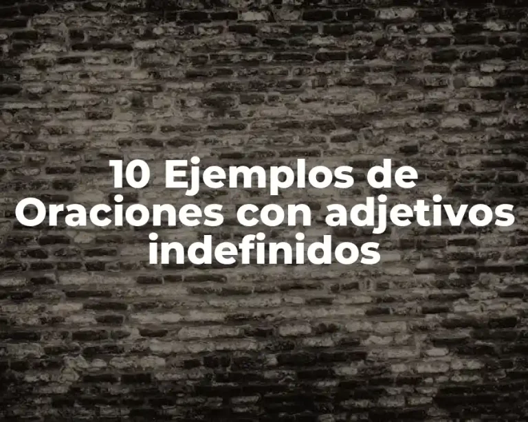 10 Ejemplos de Oraciones con adjetivos indefinidos